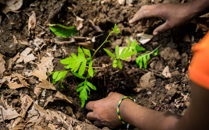 service learning with outward bound